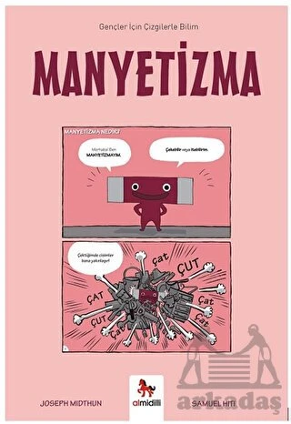 Manyetizma – Gençler İçin Çizgilerle Bilim ürün görseli 1