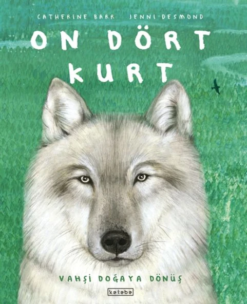 On Dört Kurt ürün görseli 1