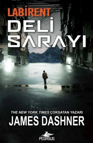 Labirent: Deli Sarayı ürün görseli 1
