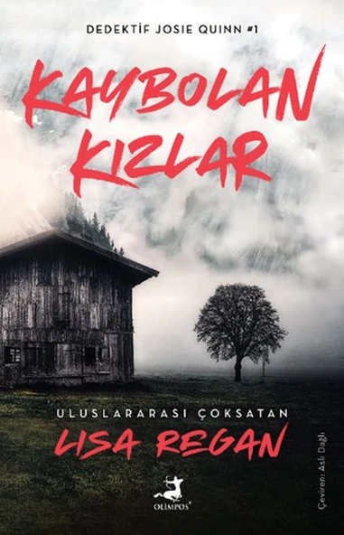 Kaybolan Kızlar ürün görseli 1