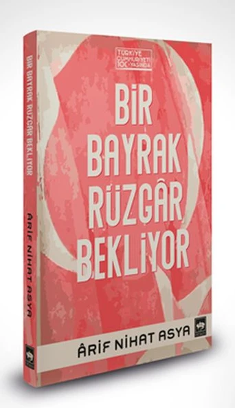 Bir Bayrak Rüzgar Bekliyor (Ciltli) ürün görseli 1