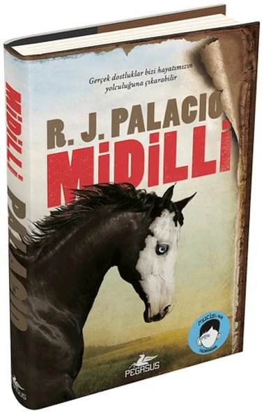 Midilli (Ciltli) ürün görseli 1