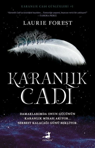 Karanlık Cadı ürün görseli 1