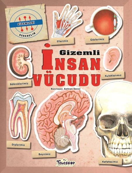 Gizemleri Öğrenelim - Gizemli İnsan Vücudu ürün görseli 1