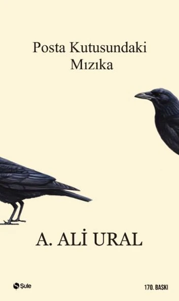 Posta Kutusundaki Mızıka ürün görseli 1