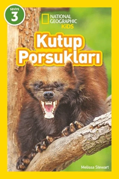 Kutup Porsukları - National Geographic Kids ürün görseli 1