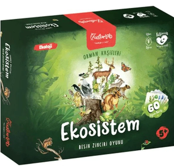 Ekosistem Besin Zinciri Kutu Oyunu Midi ürün görseli 1