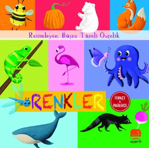 Renkler ürün görseli 1