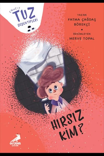 Hırsız Kim?  Tuz Dedektifleri ürün görseli 1
