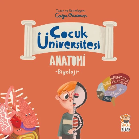 Çocuk Üniversitesi Biyoloji - Anatomi ürün görseli 1