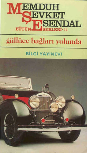 Güllüce Bağları Yolunda ürün görseli 1