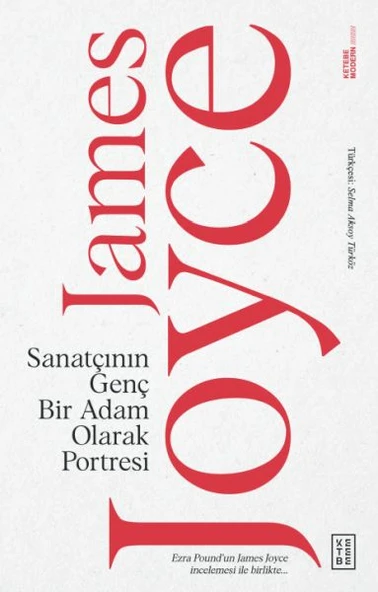 Sanatçının Genç Bir Adam Olarak Portresi ürün görseli 1