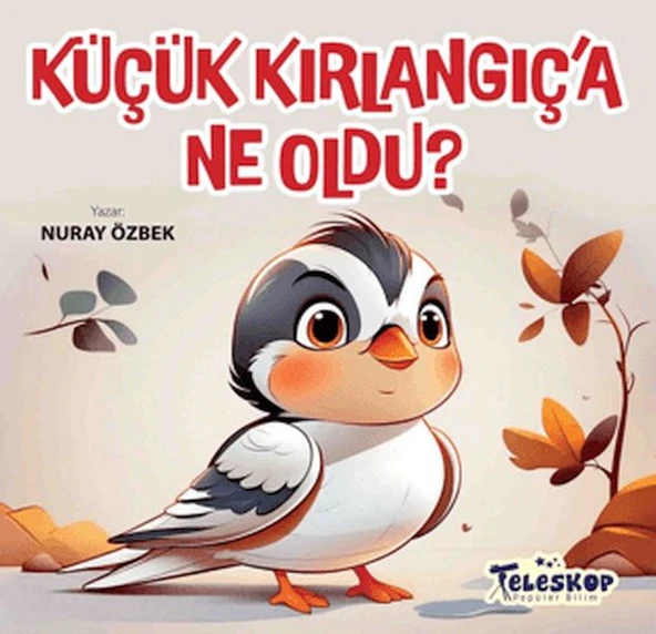 Küçük Kırlangıç'a Ne Oldu ürün görseli 1