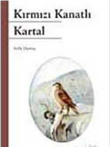Kırmızı Kanatlı Kartal ürün görseli 1