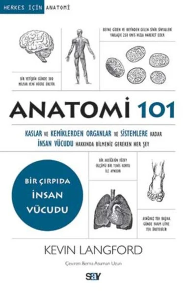 Anatomi 101 ürün görseli 1