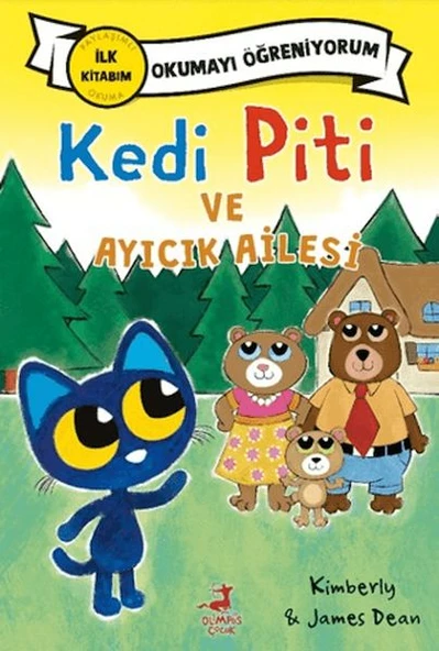 Kedi Piti ve Ayıcık Ailesi ürün görseli 1