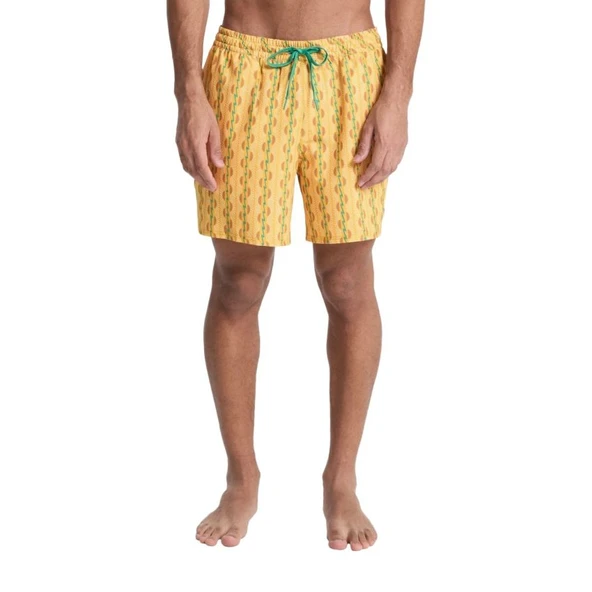 Quiksilver Stretch Printed Erkek Sarı Erkek Deniz Şortu EQYJV04217 ürün görseli 1