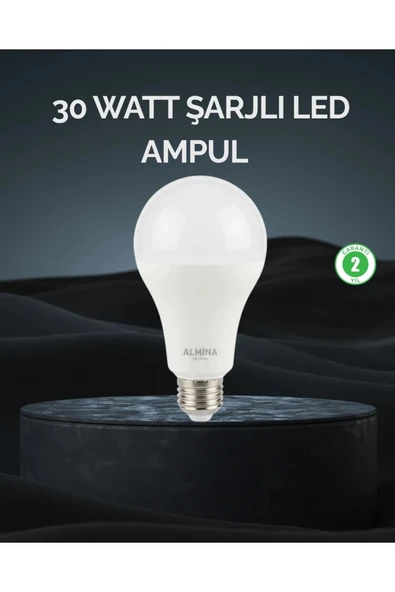 Şarjlı LED Ampul 30 Watt Soğuk Beyaz ürün görseli 1