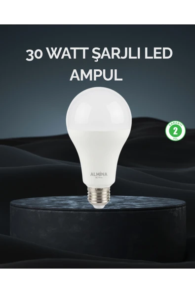 Şarjlı LED Ampul 30 Watt Soğuk Beyaz ürün görseli 1