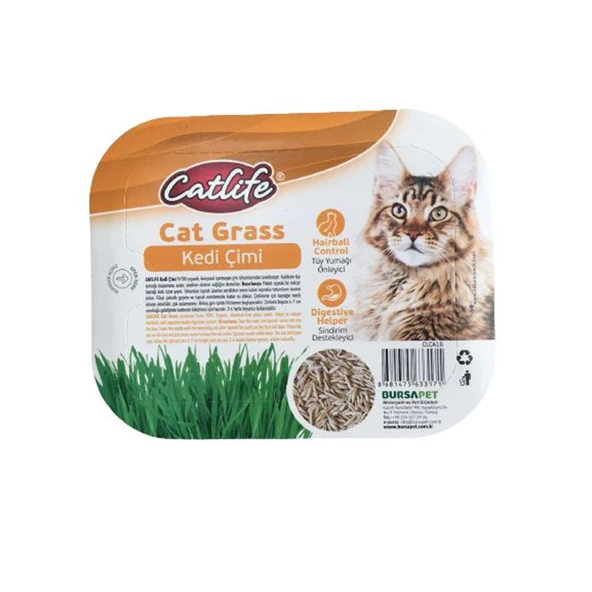 CATLİFE KEDİ ÇİMİ ürün görseli 1