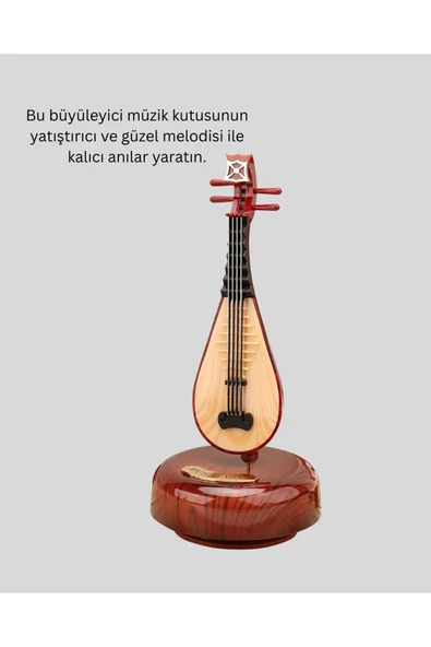 PİPA MÜZİK KUTUSU - Resim 5