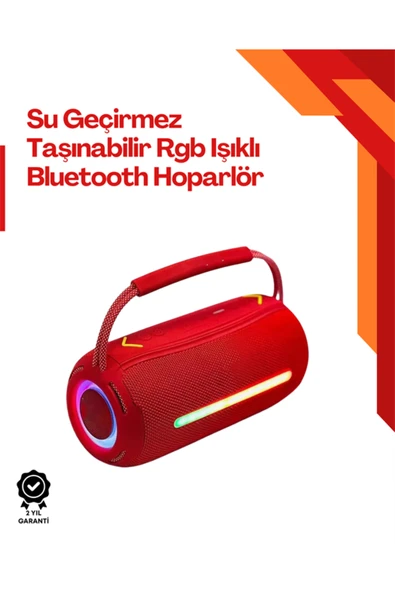 IPX6 Suya Dayanıklı Açık Hava Hoparlörü ürün görseli 1