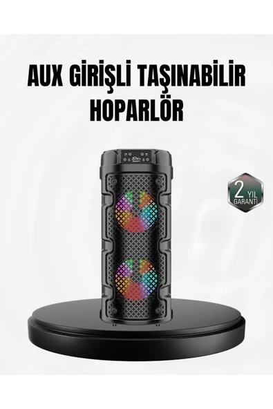 Kablosuz Stereo Hoparlör USB + SD Kart + AUX Destekli Bluetooth 5.0 ürün görseli 1