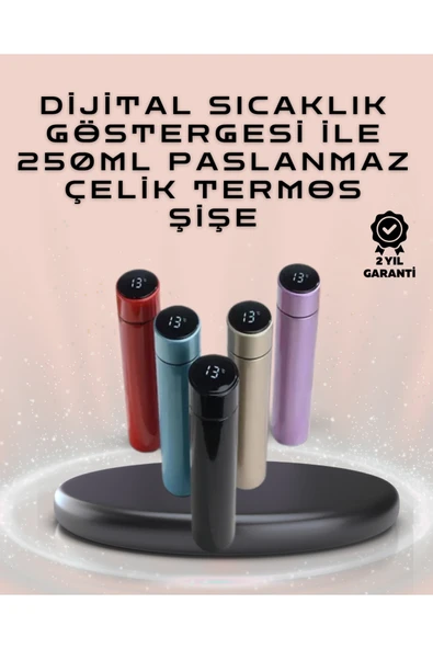 250ml LED Ekranlı Paslanmaz Çelik Akıllı Termos ürün görseli 1