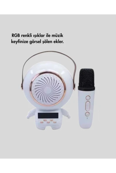 TK-66 KARAOKE SPEAKER - Resim 4