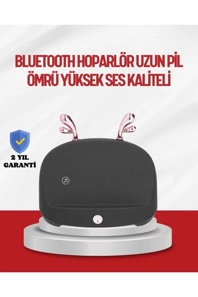 Kablosuz İndüksiyonlu Telefon Tutucu ve Stereo Hoparlör – Şık ve Fonksiyonel Tasarım ürün görseli 1