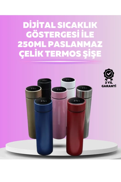 LED Sıcaklık Ölçerli 250 ml Yalıtımlı Termos Şişe ürün görseli 1