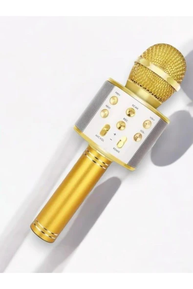 KAREOKE  MIKROFON - Resim 4