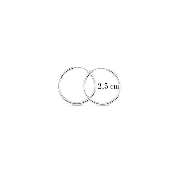 2,5 cm Gümüş Halka Küpe - Resim 3