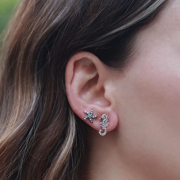 Deniz Atı Ve Yıldız Figürlü Zirkon Taşlı Rose Gold Kaplama Gümüş Küpe ürün görseli 1