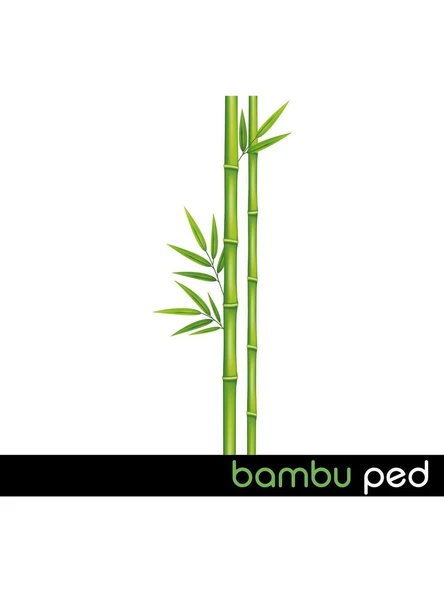 Ladyfit Bambu Ped Süper Normal 24 Ped - Resim 3