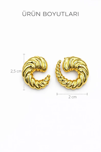 Gold Nyra Çivi Küpe - Resim 4