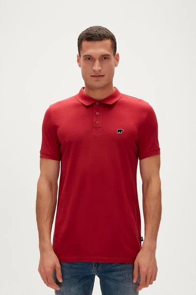 GABRIEL POLO NECK TİŞORT  Erkek T-Shirt 26.01.07.051-C54 ürün görseli 1