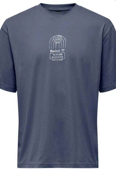 ONSMALIK LIFE RLX SS TEE TR  Erkek T-Shirt 22039103 ürün görseli 1