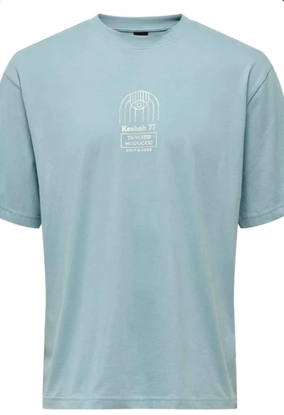ONSMALIK LIFE RLX SS TEE TR  Erkek T-Shirt 22039103 ürün görseli 1