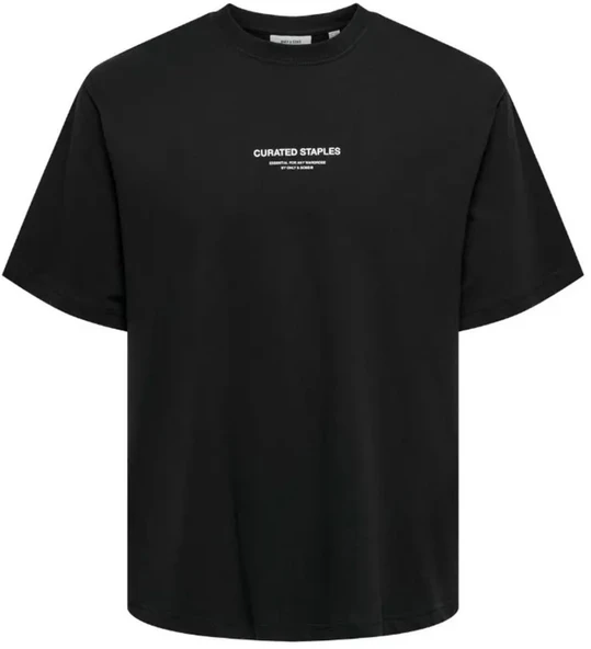 ONSCURATED RLX PRINT SS TEE TR  Erkek T-Shirt 22039102 ürün görseli 1