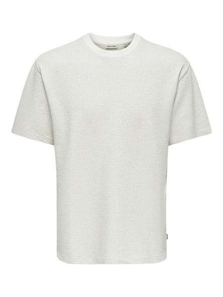 ONSKIAN LIFE RLX SS STRP TEE  Kadın T-Shirt 22037541 ürün görseli 1