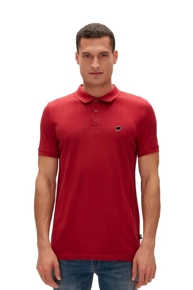 RIXON POLO NECK TİŞORT  Erkek T-Shirt 26.01.07.050-C54 ürün görseli 1