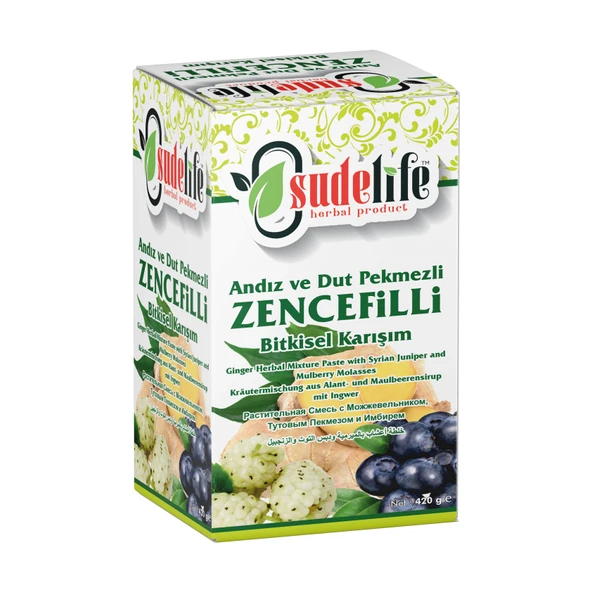 FATİH SUDE ZENCEFİLLİ MACUN 420 g ürün görseli 1
