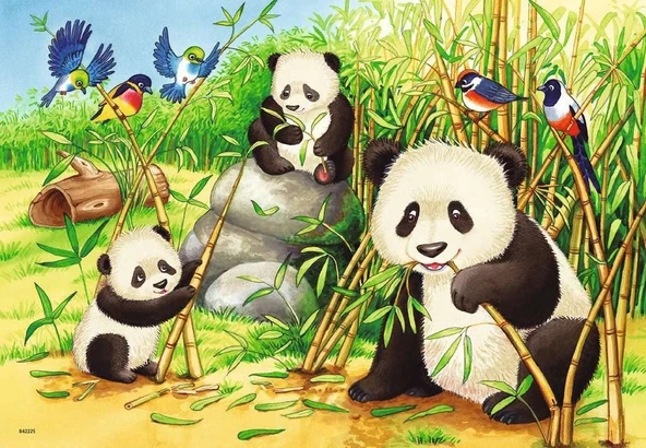 Ravensburger Koala ve Panda 2x24 Çocuk Puzzle - Resim 3