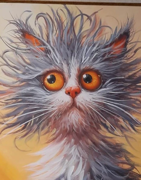 FAYSAL ÇAKMAZ KEDİ - Resim 4