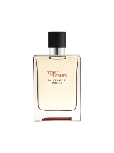 Terre D'hermes Edt 100ML ürün görseli 1