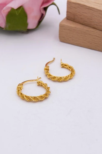 22 Ayar Altın Küpe Halat Burgu Model Kadın Küpe ürün görseli 1
