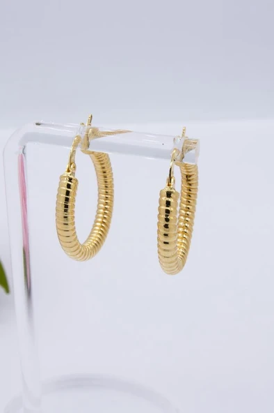 14 Ayar Altın Halka Küpe Burgu Model Kadın Küpe ürün görseli 1