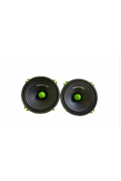 KİNGVOX Kıngvox Kv-1313 13 Cm Midrange Takımı - Resim 2