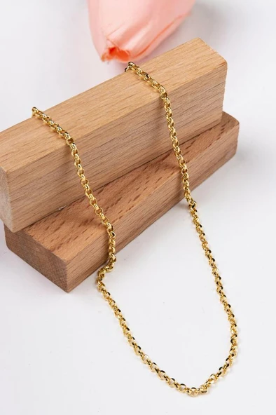 14 Ayar 2,5 Gram 55 CM Altın Zincir Kolye LKZNC1107 ürün görseli 1